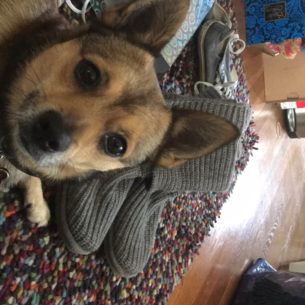 Grey Knit Uggs - image 2